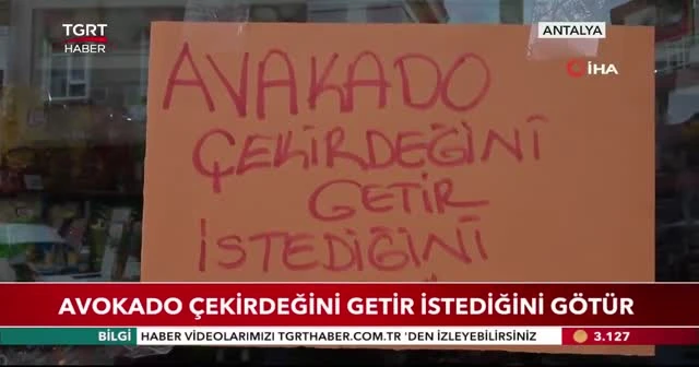 Avokado çekirdeğini getir istediğini götür