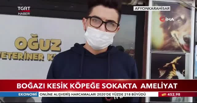 Boğazı kesik köpeğe sokakta ameliyat