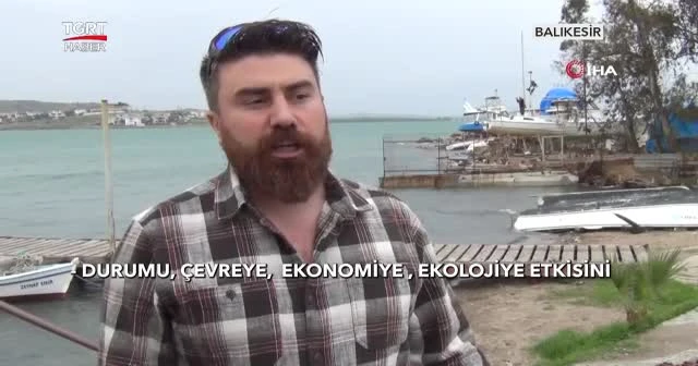 Deniz çayırlarını koruma projesi başlatıldı