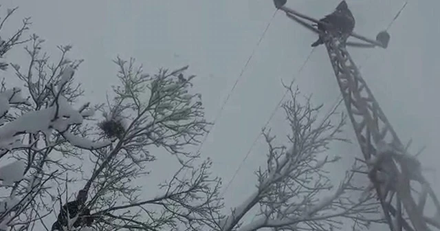 Elektrik direğinde ölümle dans