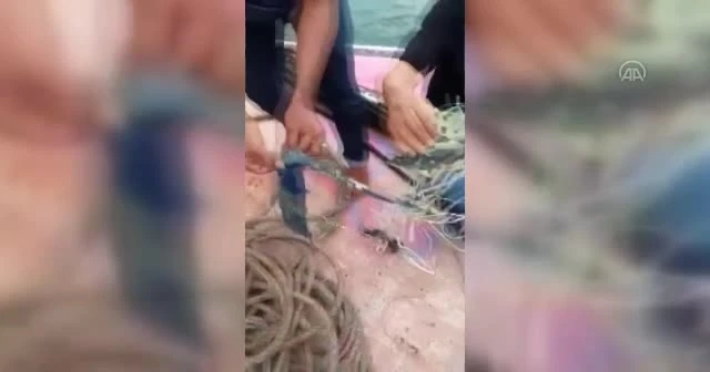 Endonezya'da yolcu uçağı düştü