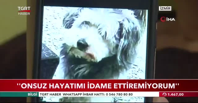 Felçli kadın 6 aydır kayıp köpeğini arıyor