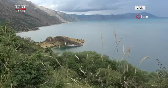 Gevaş'ın doğal güzellikleri koruma altında