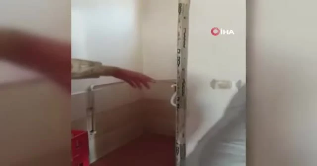 Jandarmadan saklanmak için tuvalete sığındılar