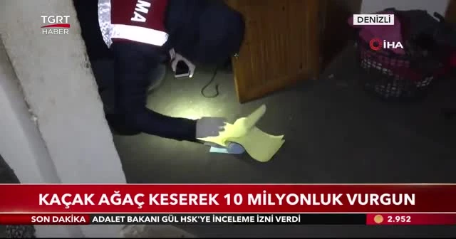 Kaçak ağaç keserek 10 milyonluk vurgun