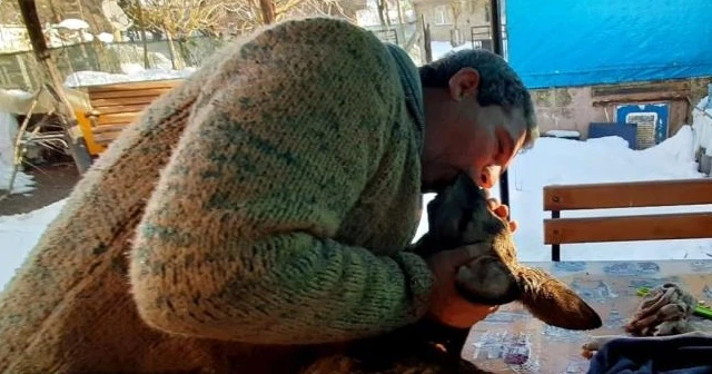 Karacayı hayata döndürmek için elinden geleni yaptı