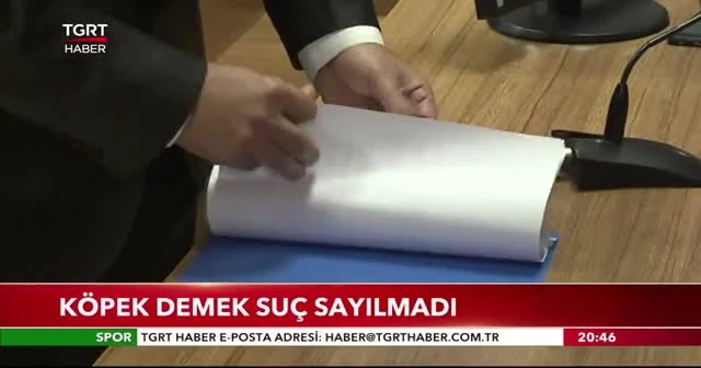 Köpek demek suç sayılmadı