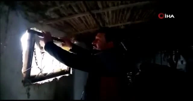 Korona virüsten kurtuldu, çiftliğine gidince hırsızlık şokuyla karşılaştı