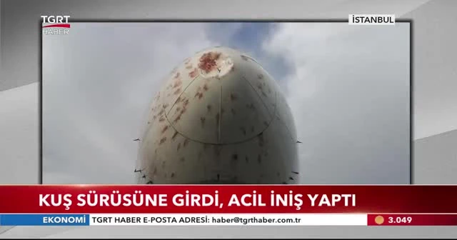 Kuş sürüsüne girdi, acil iniş yaptı