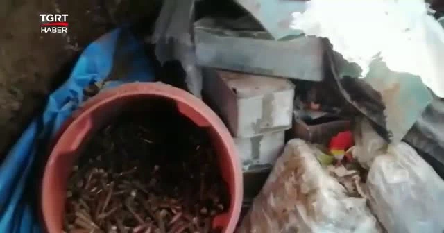 Mehmetçik, köpeği sırtına alıp nehirden geçirdi