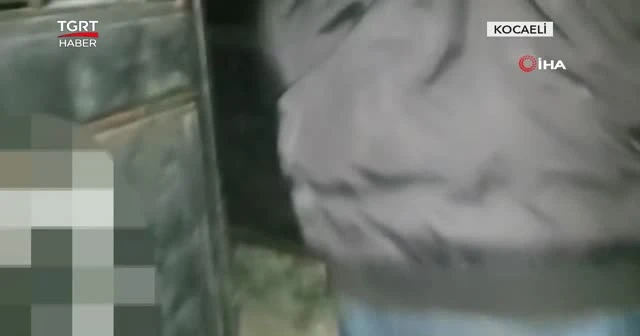 Polis koçbaşıyla içeriye girdi