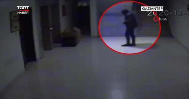 Rahatlığın bu kadarına pes!