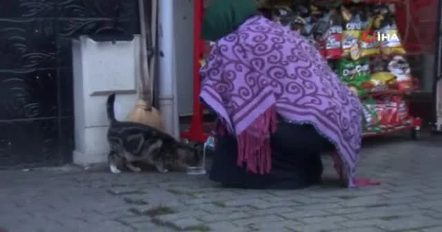 Soğuk havada iç ısıtan görüntü