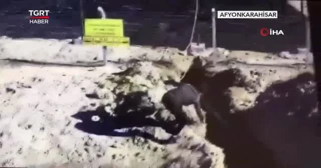 Su şebekesinin kablolarını çaldılar