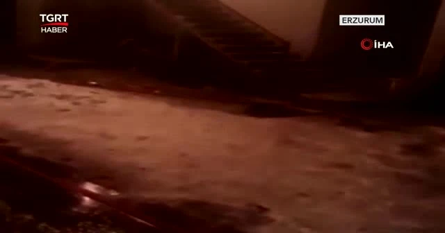 Tavuklar üşümesin dedi evi yandı