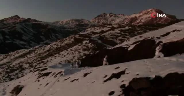 Teröristlerin inlerine giren kahramanlardan yeni yıl mesajı