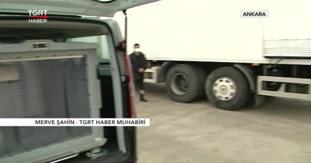 Türkiye'yi umutlandıran aşılar dağıtıma çıkmak için hazır