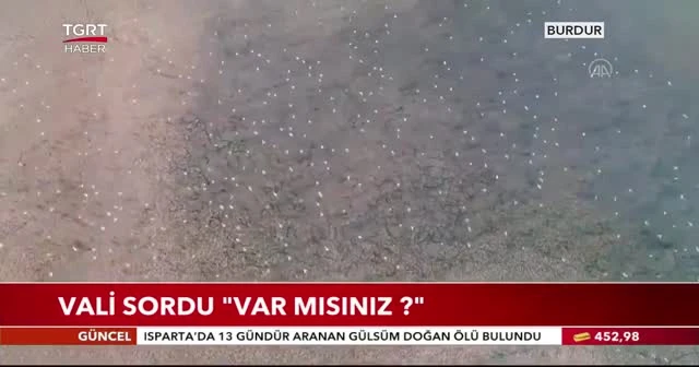 Vali sordu "var mısınız ?"