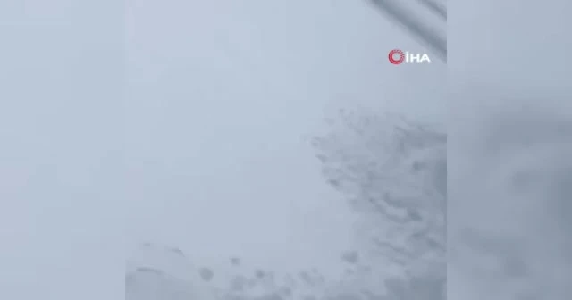 ABD'de çığın düşüş anı kamerada