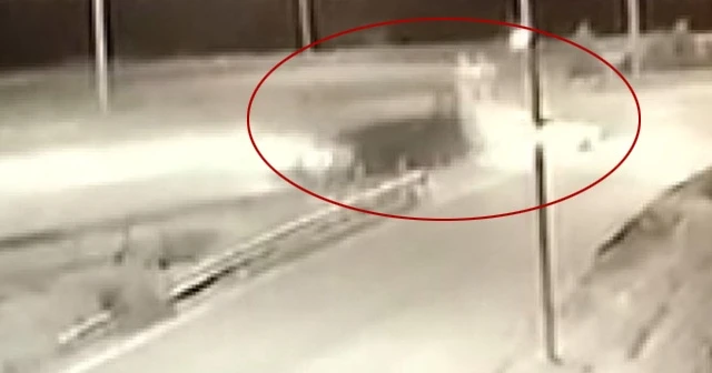 Ailesini ziyarete giden hemşirenin öldüğü kaza kamerada