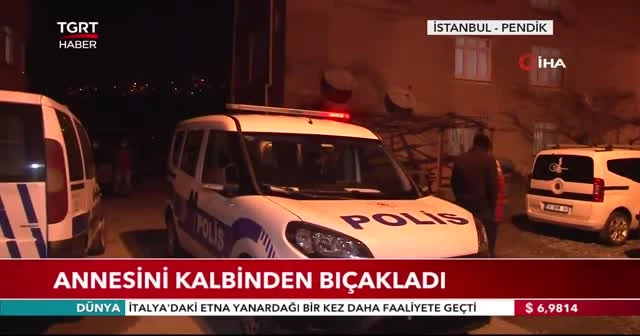 Annesini kalbinden bıçakladı