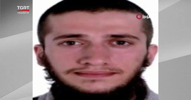 DEAŞ'lı keşif yaparken ağaçta yakalandı
