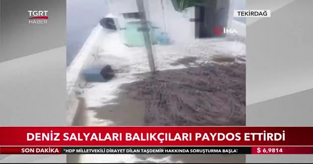 Deniz salyaları balıkçıları paydos ettirdi