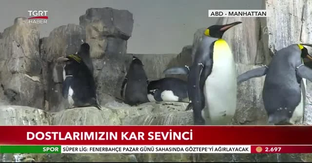 Dostlarımızın kar sevinci