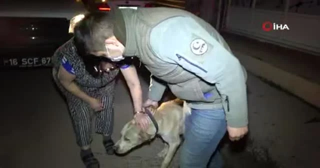 Dumandan zehirlenen köpek, kalp masajıyla hayata döndürüldü