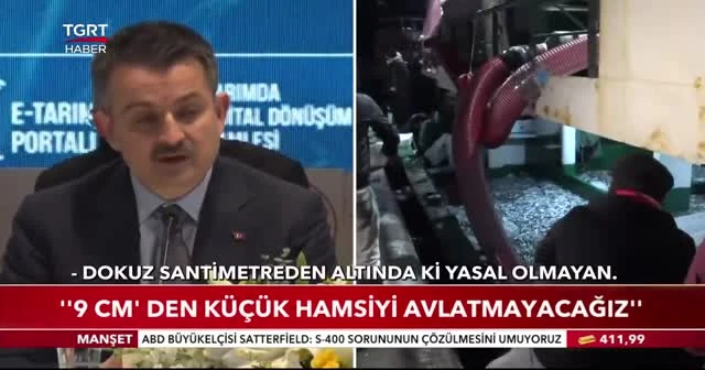 Hamsi avı kısıtlaması kalkıyor