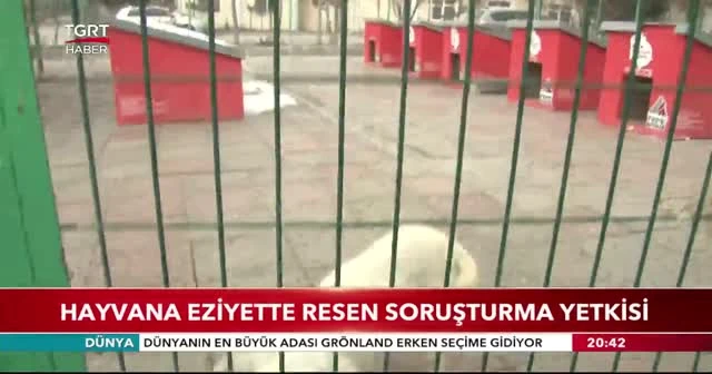 Hayvan hakları yasa teklifi tamamlandı