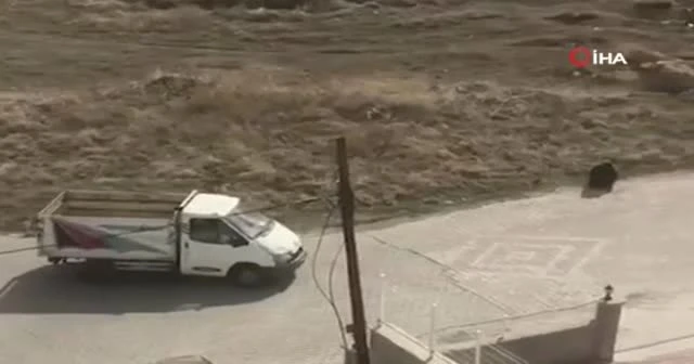 Hurdacının koronavirüs türküsü sosyal medyada gündem oldu
