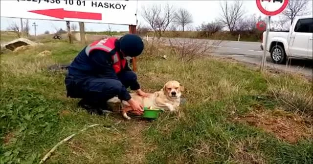 Jandarmadan uygulama sırasında yanına gelen köpeğe şefkat