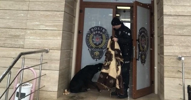 Kar yağışında üşüyen köpeğe polis şefkati
