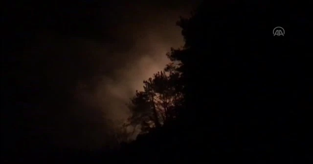 Kastamonu'da orman yangını mahalleye sıçradı