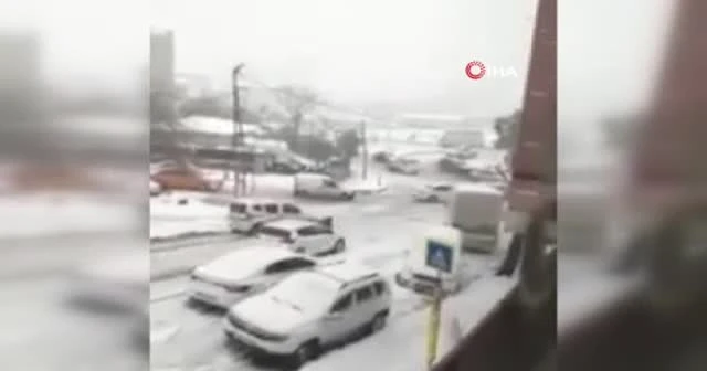 Kayan aracını durdurmak için önüne atladı