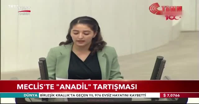 Meclis'te "anadil" tartışması