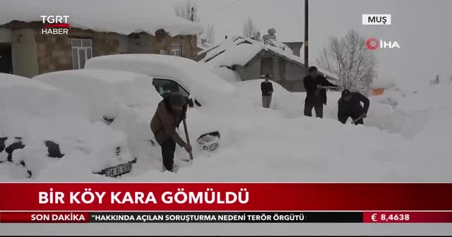 Muş kara gömüldü