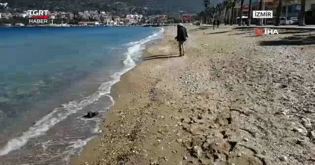 Ölü balıklar sahile vurdu