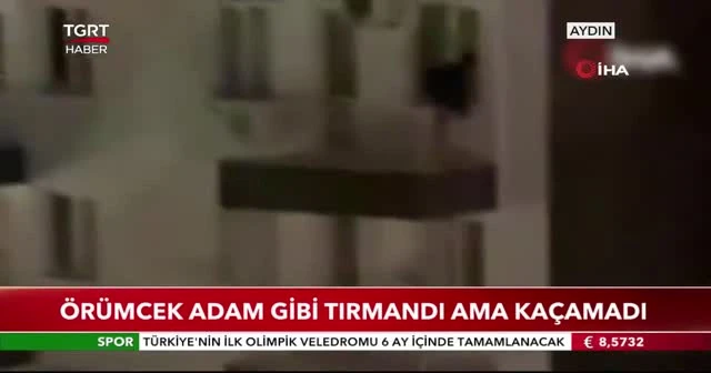 Örümcek adam gibi tırmandı ama kaçamadı
