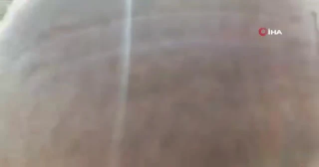 Şehit babaya kızından son selam