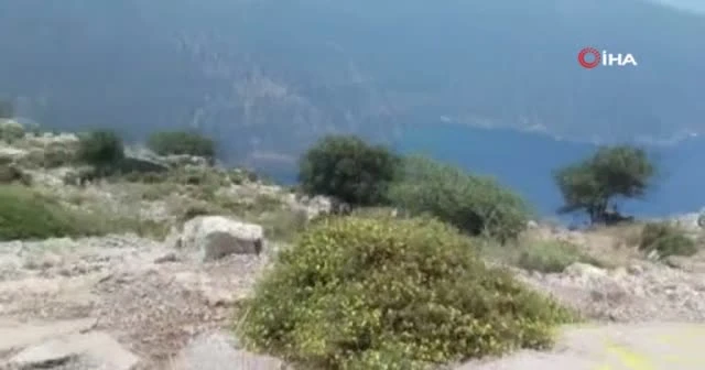 Semra Aysal'ın Kelebekler Vadisi'ndeki son görüntüleri ortaya çıktı