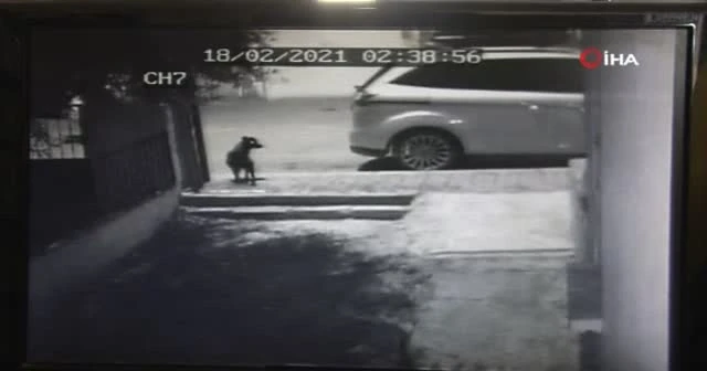 Susayan çocuklar marketin dolabını zorla açarak içecek çaldı