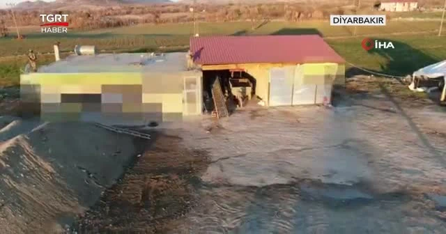 Uyuşturucuların sahipleri yakalandı