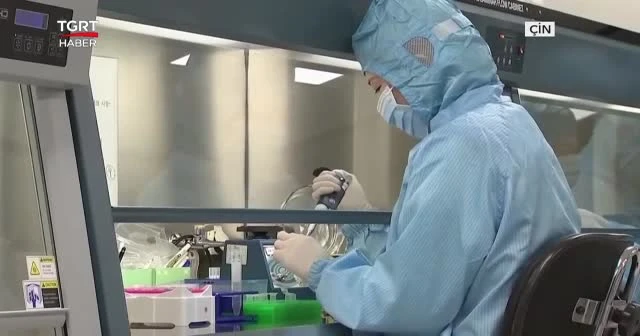 "Virüsün kaynağı başka hayvanlar olabilir"