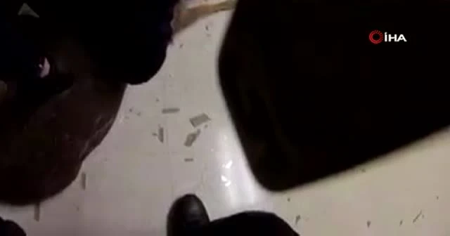 ABD'de huzurevine geyik operasyonu