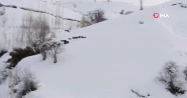 Afganistan'da çığ düştü: 14 ölü, 3 yaralı