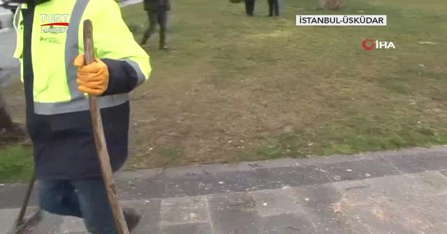 Ağaçları işte böyle kestiler