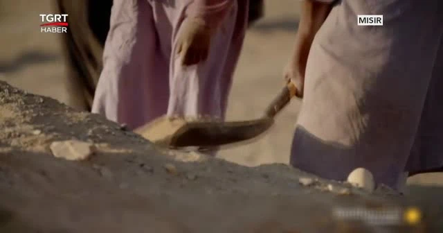 Dünyanın en eski hayvan mezarlığı bulundu