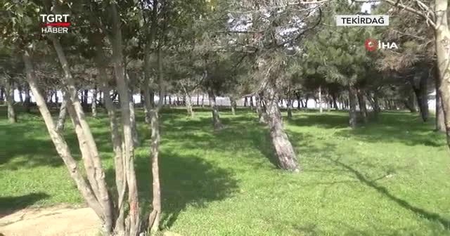 Eşini benzin döküp yaktı